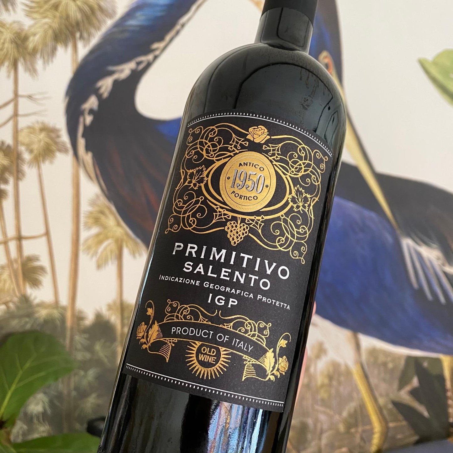 Domus Vini 1950 Antico Portico Primitivo Salento IGP