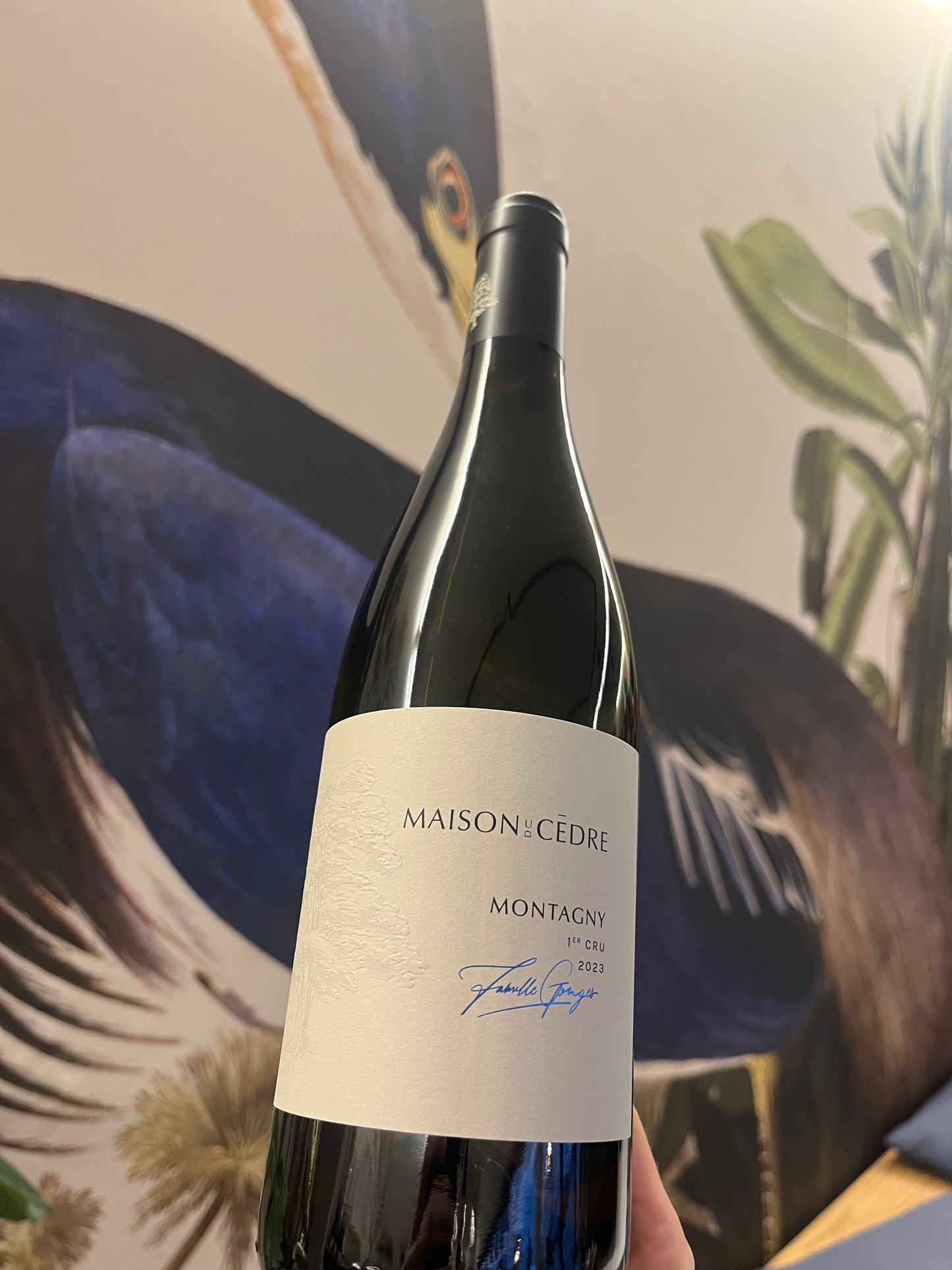 Maison Du Cedre - Montagny 1er Cru 2023