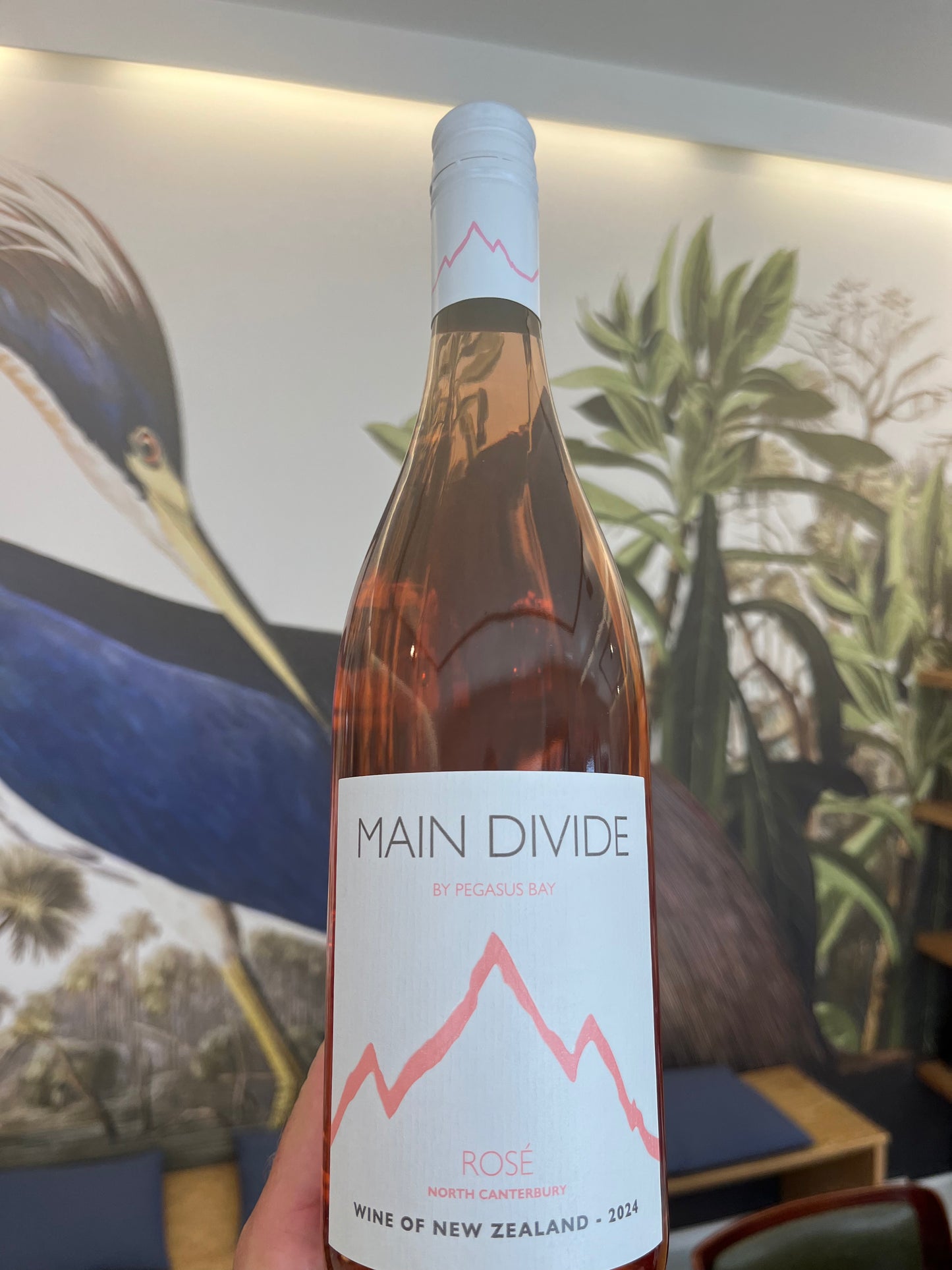 Main Divide - Rose