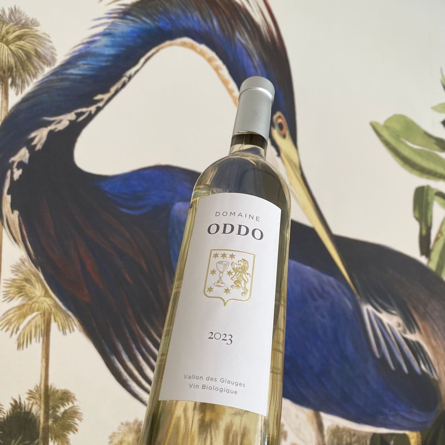 Oddo Provence White