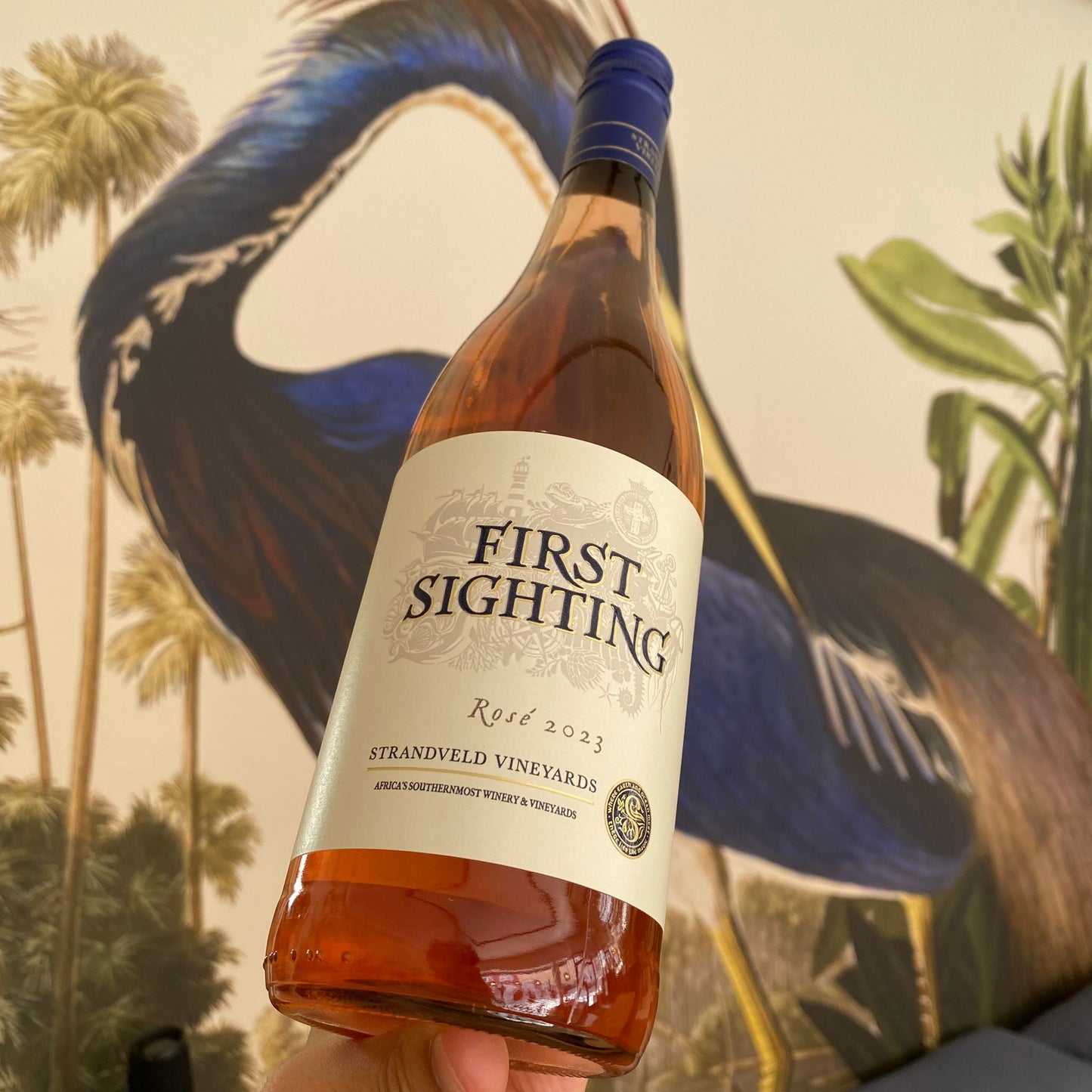 Strandveld First Sighting Rose
