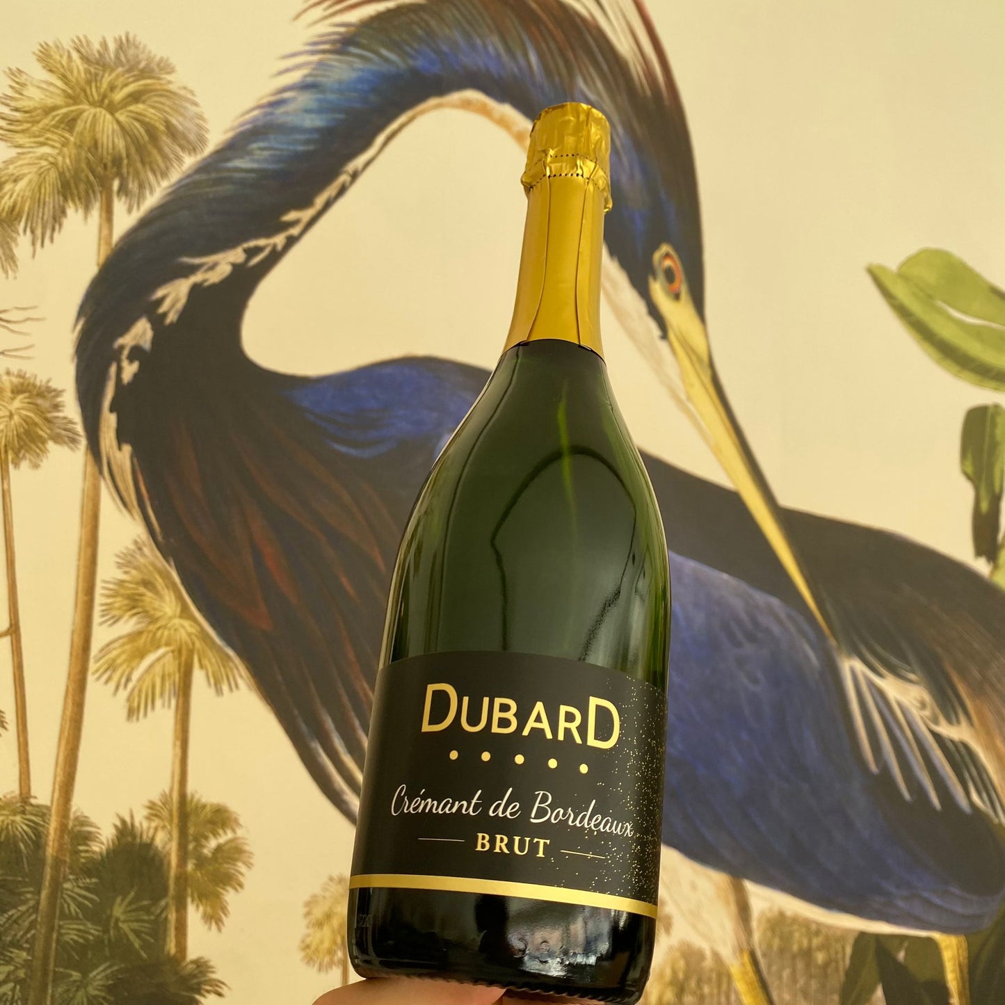 Dubard Crémant de Bordeaux