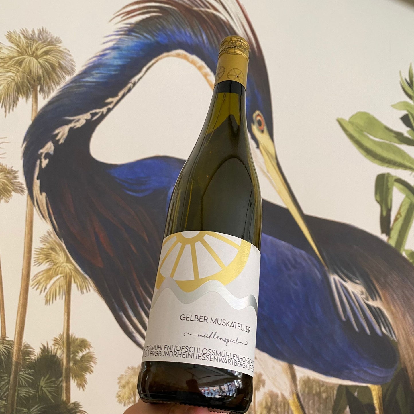 Weingut Schlossmühlenhof Gelber Muskateller feinherb