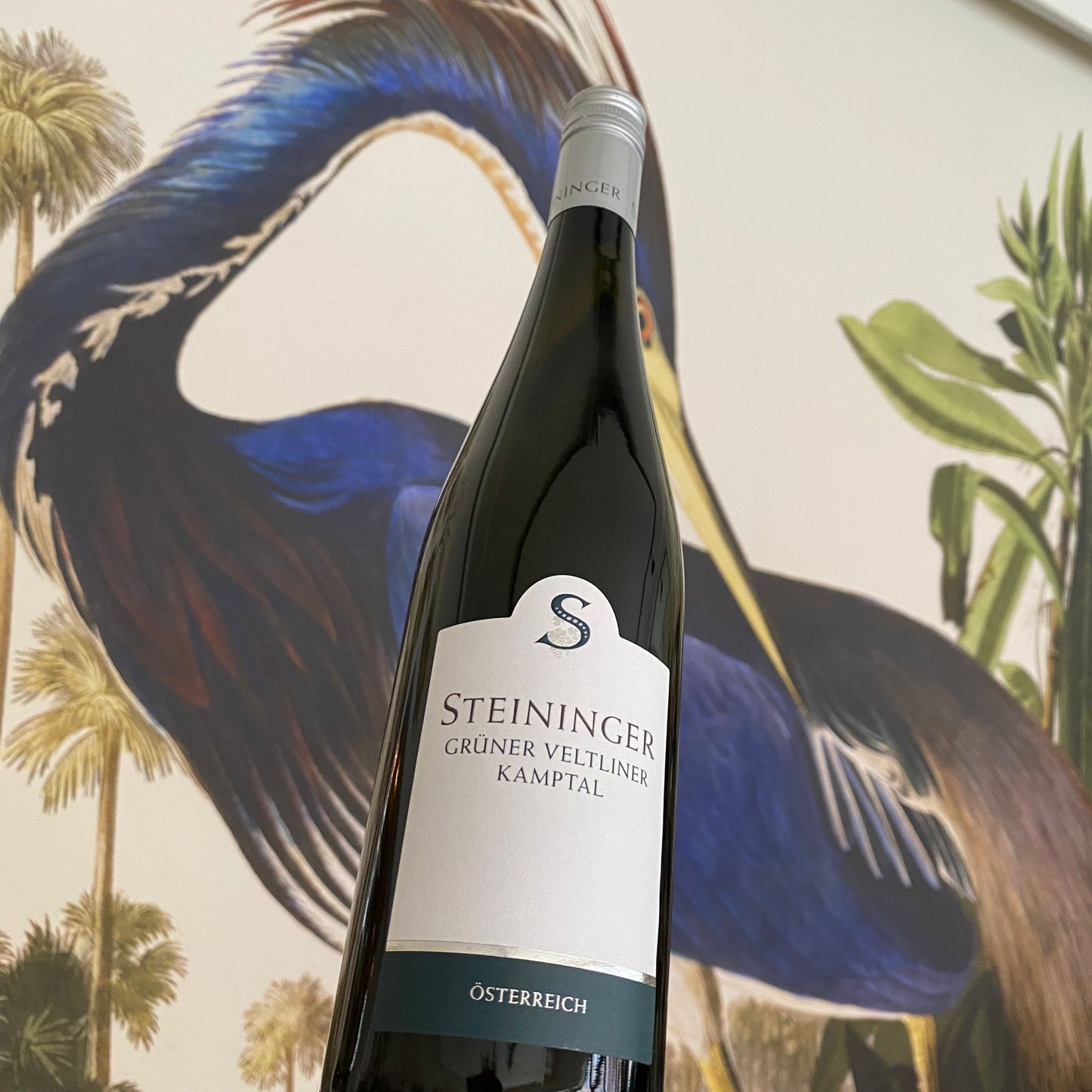 Weingut Steininger Gruner Veltliner DAC