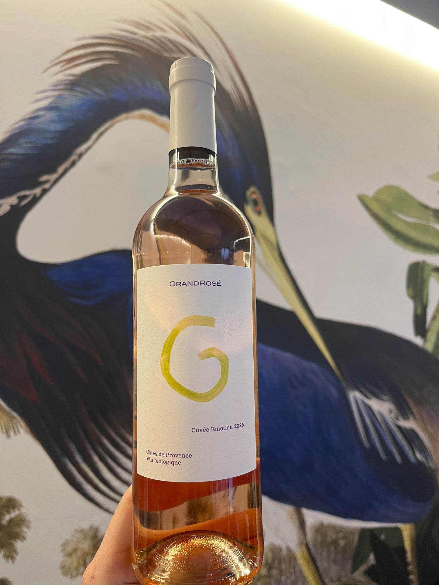 Grand Rose Emotion
