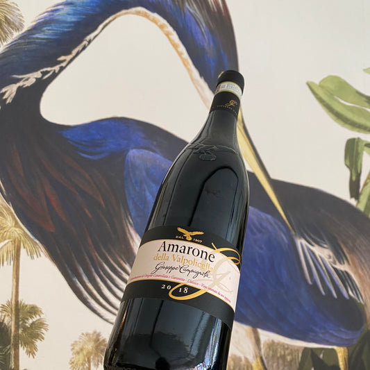Giuseppe Campagnola Amarone della Valpolicella Classico DOC