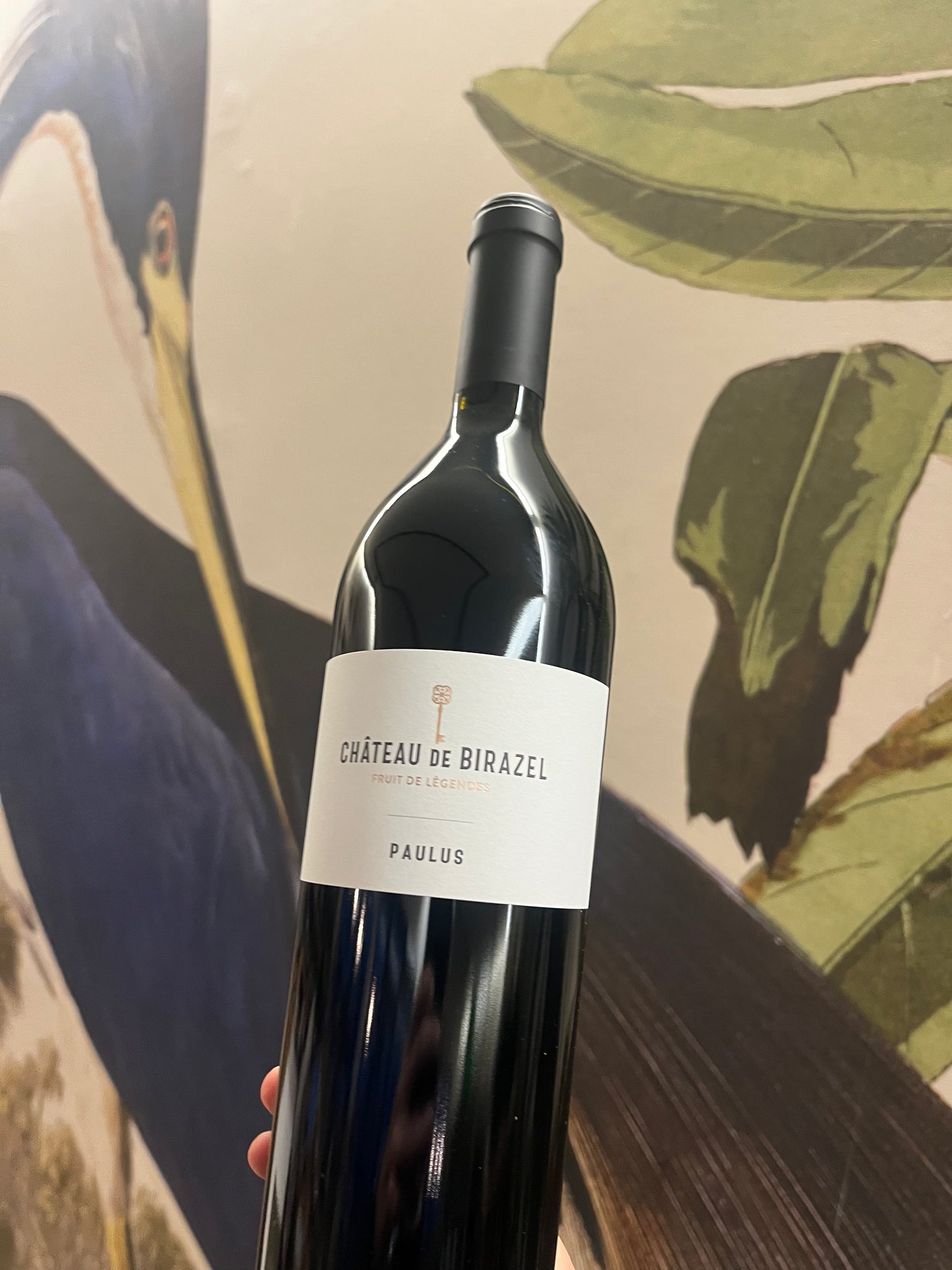 Chateau De Birazel- Cuvée Paulus