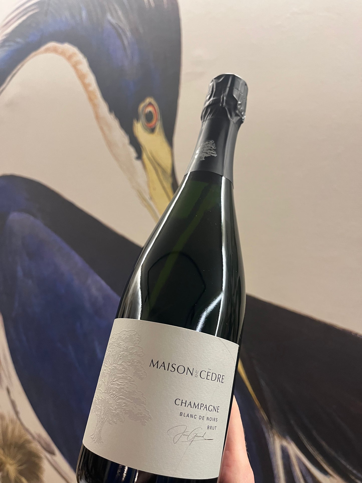 Maison Du Cedre - Champagne Blanc